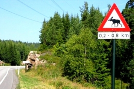 Zajímavá dopravní značka se kterou se v Norsku setkáte často.